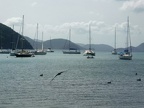 Cruise 2011 120
